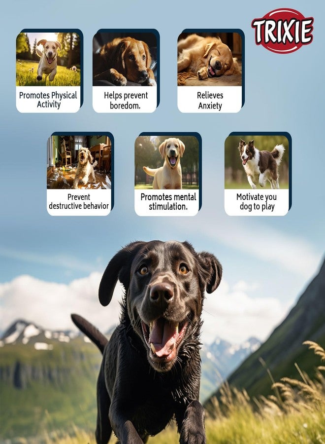 Trixie Animal Plush Toy for Dogs, Soft Cuddly Plush Toy, Made with Polyester, Comes with a Squeaker for Added Fun | Perfect for Both, Indoor & Outdoor Play Sessions - (Duck Plush - 38 cm) - Image 5